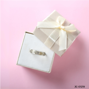 Stylish Double-Band Silver Ring with Zircon Detailing